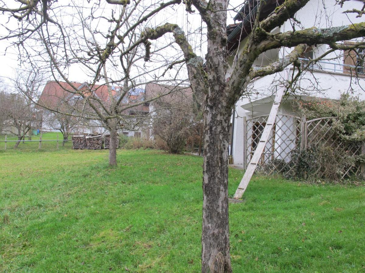 Gasthaus Adler Otel Wangen im Allgäu Dış mekan fotoğraf